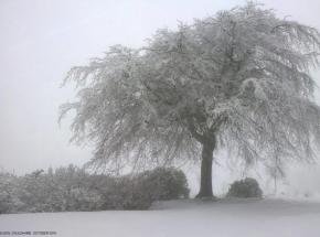 Caldhame House gardens in winter. ( © Bev Wilson, 2013)