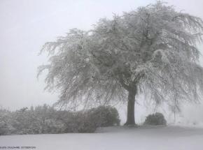 Caldhame House gardens in winter. ( © Bev Wilson, 2013)