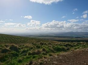 Views of Kippndavie and Cauldhame Estates