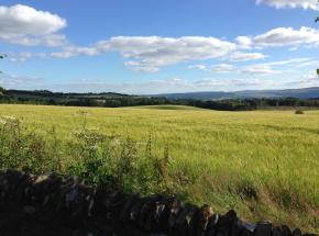 Views from Kippenrait