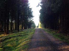 Good paths for walking and cycling