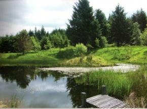 Environmental habitat management and conservation areas are maintained on large areas of the estate.